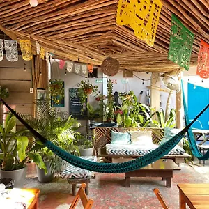 Hostal Barco, Isla Holbox