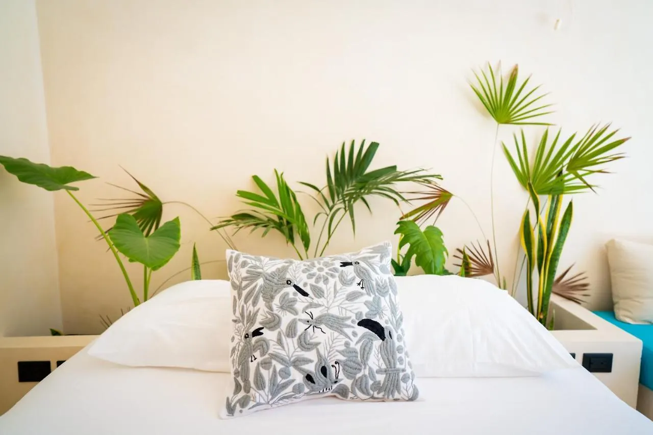 Tikul Hotel Boutique جزيرة هول بوكس
